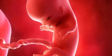 Bizerte: des fœtus cachés dans des pots de fleurs