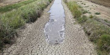 Banque mondiale: « le Maroc est l’un des pays les plus touchés au monde par le stress hydrique »