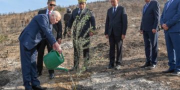 Fête nationale de l&rsquo;arbre: « la Tunisie demeurera verte et va verdir encore davantage » déclare Kais Saied