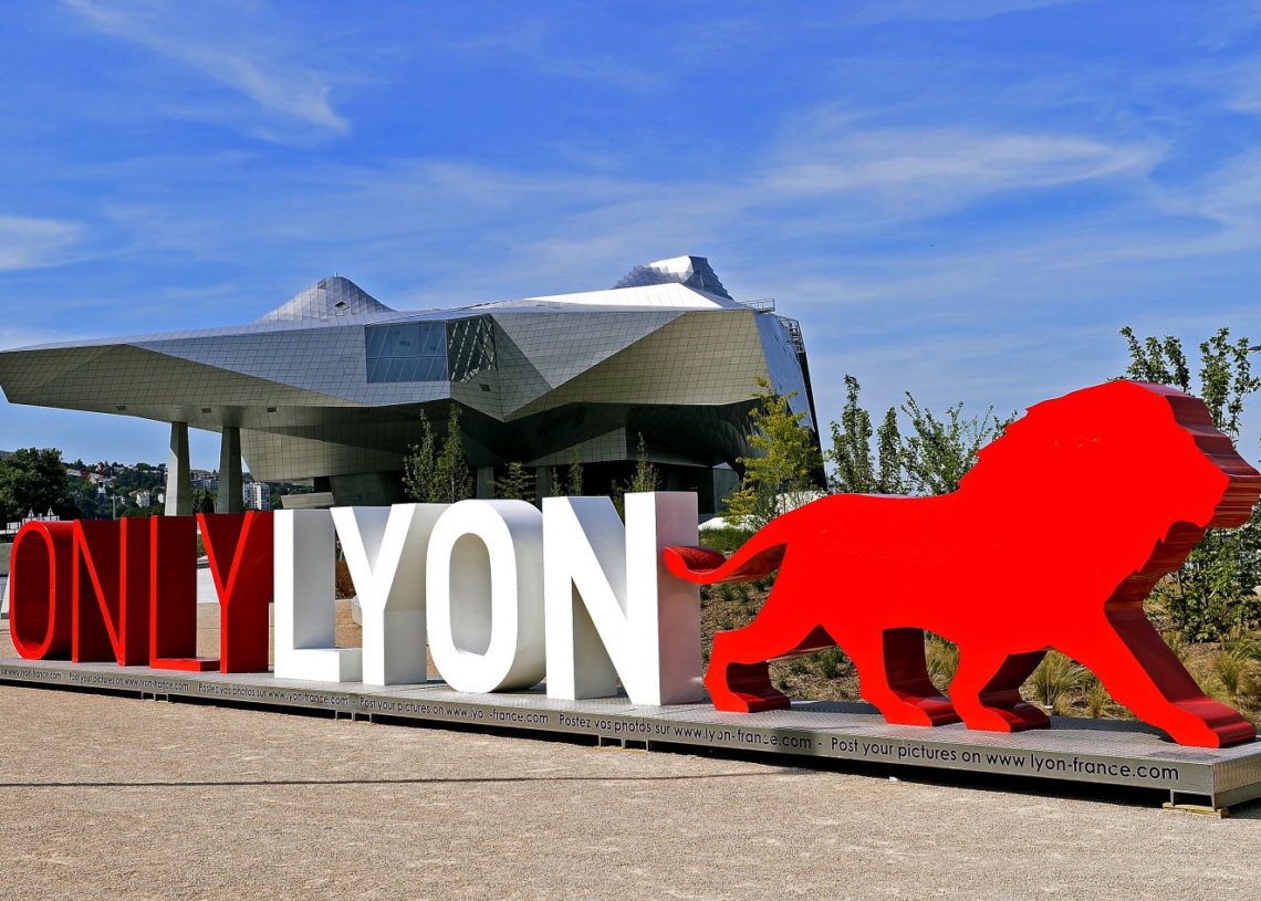 Projection gratuite du film « Birds of America » mardi 6 décembre à 18h30 au musée des Confluences à Lyon