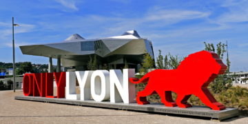 Projection gratuite du film « Birds of America » mardi 6 décembre à 18h30 au musée des Confluences à Lyon