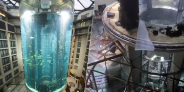 Allemagne: un aquarium géant éclate dans un hôtel et déverse un million de litres d&rsquo;eau