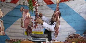 Egypte : la livre dévaluée de près de 50 % pour répondre aux critères du FMI
