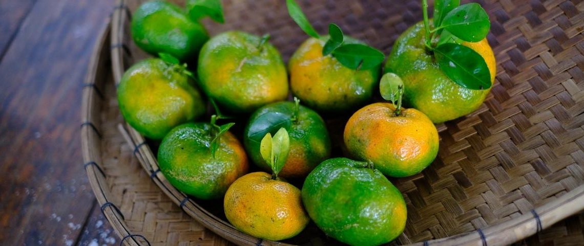 Epidémie du « Dragon jaune »: nos agrumes en danger!