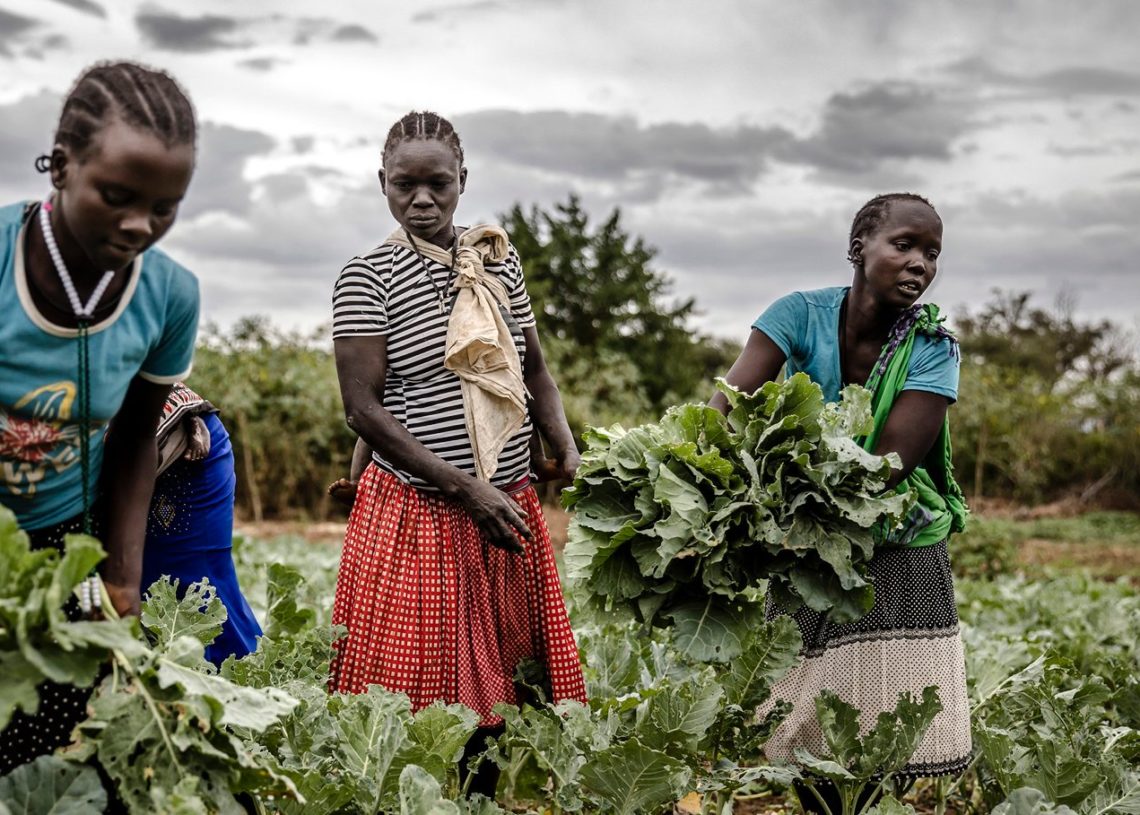 Oxfam: 820 millions de personnes souffrent de la faim en 2022… dont 60% de femmes