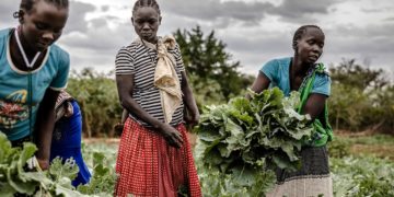 Oxfam: 820 millions de personnes souffrent de la faim en 2022… dont 60% de femmes
