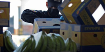 Equateur: « saisie record » de près de 9 tonnes de cocaïne à destination de la Belgique