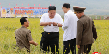 Corée du Nord: Kim Jong Un ouvre une réunion clé sur l&rsquo;agriculture, le pays étant en proie à de « graves » pénuries alimentaires