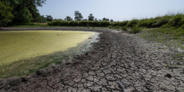 Sécheresse: la situation des nappes phréatiques en France est « dégradée »