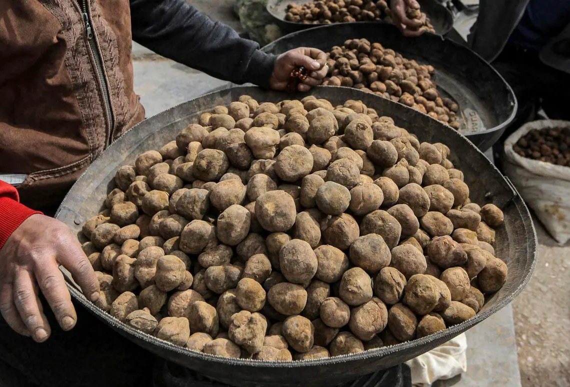 Syrie: 15 personnes qui ramassaient des truffes égorgées par l’État islamique