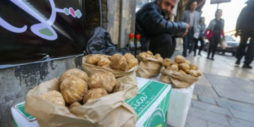 Syrie : huit cueilleurs de truffes du désert tués par l&rsquo;explosion d&rsquo;une mine antipersonnel