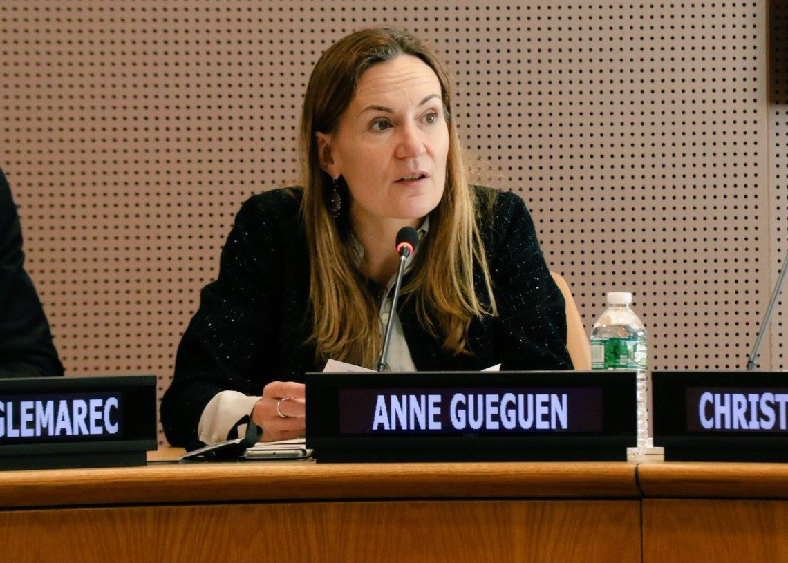 Anne Guéguen, future ambassadrice de France en Tunisie?