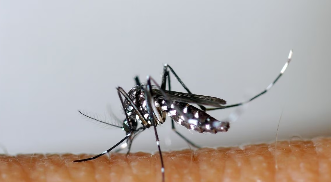 Soudan: épidémie de dengue inédite à Karthoum