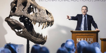 Un squelette composite de T-Rex vendu près de 5,6 millions d’euros aux enchères