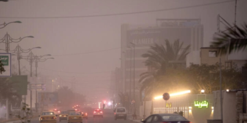 Pour se protéger des tempêtes de sable, l&rsquo;Irak propose de planter 5 millions d&rsquo;arbres