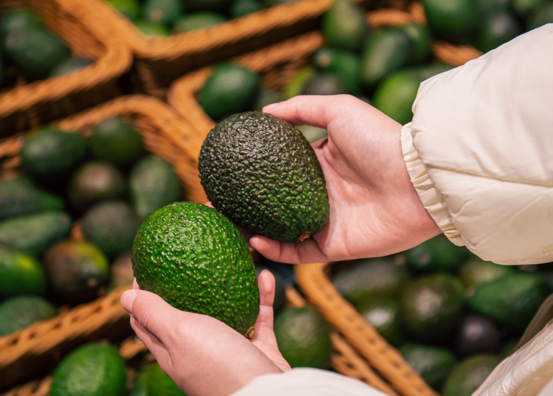 Le Maroc futur champion de l’exportation d’avocats?