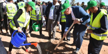 L&rsquo;Algérie débloque une première enveloppe de 73 millions de dollars pour la réhabilitation du « barrage vert »