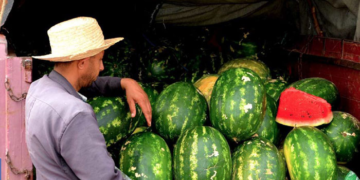 Inflation: Quand la pastèque devient un luxe au Maroc