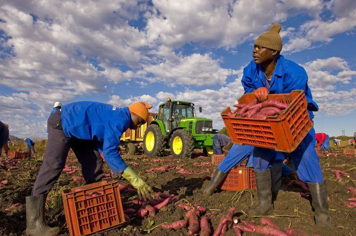 Apartheid: Priorité aux agriculteurs noirs pour l’accès à l’eau en Afrique du sud