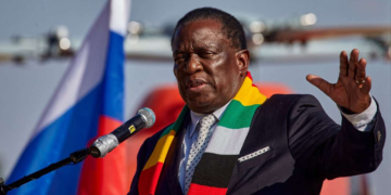 « Patriotique »: au Zimbabwe, le président Mnangagwa signe une loi interdisant toute critique du pays