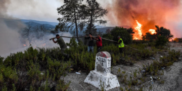 Algérie: les incendies éteints mais un bilan lourd pour le pays