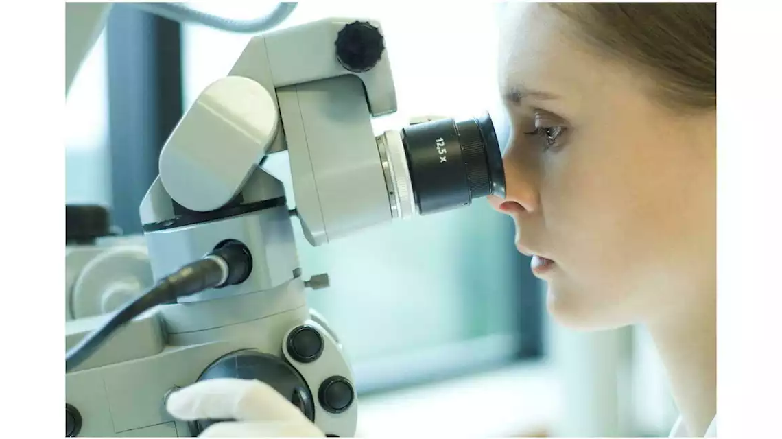 Des scientifiques ressuscitent un ver congelé depuis 46.000 ans dans la glace en Sibérie