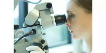 Des scientifiques ressuscitent un ver congelé depuis 46.000 ans dans la glace en Sibérie