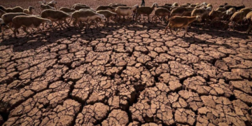 Record de température au Maroc: 50,4° relevé dans le sud du royaume