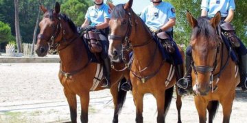Marseille: pour échapper à la brigade équestre, un voleur de téléphone poignarde un cheval