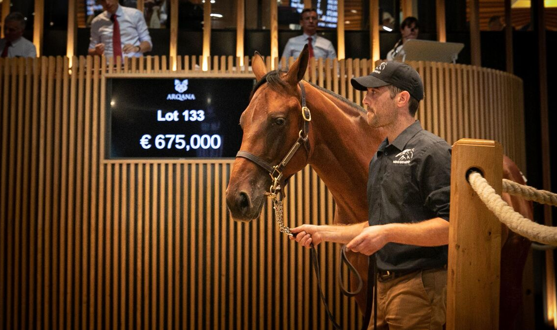 France: ventes records de yearlings à près de 57 millions d’euros à Deauville
