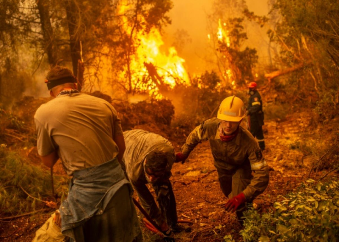 Incendies en Grèce: 18 migrants retrouvés morts dans une forêt