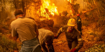 Incendies en Grèce: 18 migrants retrouvés morts dans une forêt