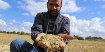 Une étude indique que la production agricole tunisienne ralentira en raison des changements climatiques et des pratiques non durables