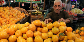 L&rsquo;Egypte désormais premier exportateur d&rsquo;oranges vers l&rsquo;UE