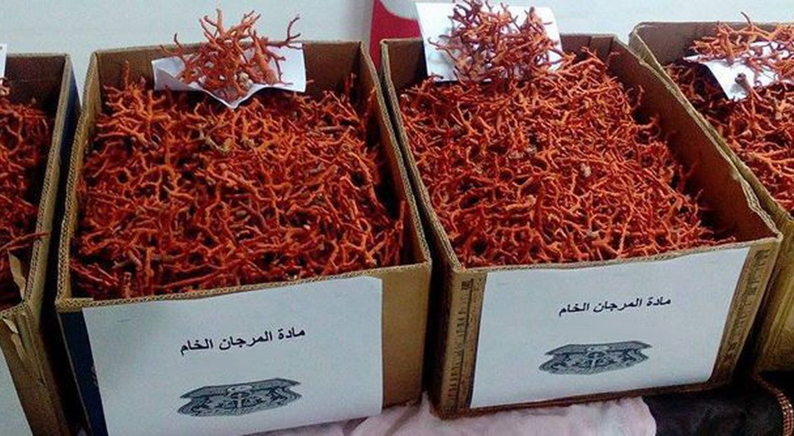 « The Red »: une enquête sur le trafic de coraux en Tunisie vers l&rsquo;Italie, projeté vendredi 29 septembre à la Maison de la Culture Ibn Rachiq