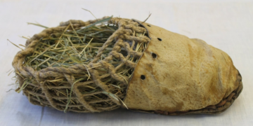 Depuis quand portons-nous des chaussures?