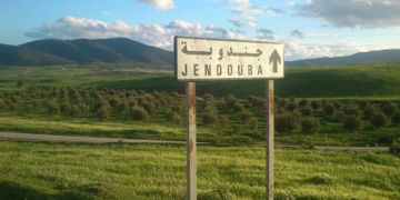 Saisie de plusieurs animaux importés illégalement d’Algérie