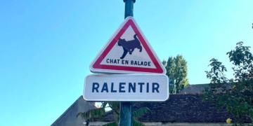 En France, de nouveaux panneaux pour protéger les animaux