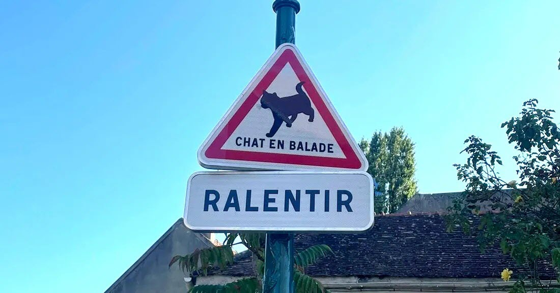 En France, de nouveaux panneaux pour protéger les animaux