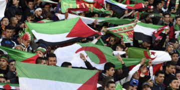 L&rsquo;Algérie suspend tous ses matchs de football « jusqu&rsquo;à nouvel ordre » en solidarité avec Gaza