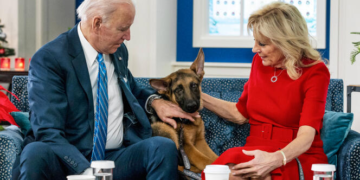 Le chien des Biden à « l&rsquo;isolement » pour morsures sur le personnel de la Maison Blanche