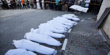 57 employés de l&rsquo;ONU morts à Gaza