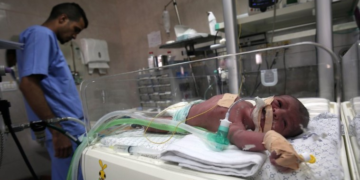 Panne de carburant: Cinq bébés prématurés sont morts à l’hôpital Al-Shifa de Gaza selon le Hamas