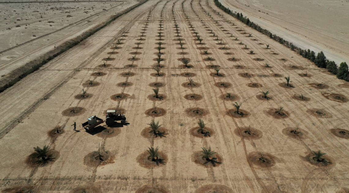 Sécheresse en Irak: les agriculteurs confrontés à des restrictions sur l’eau