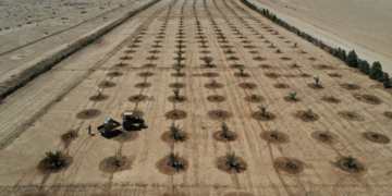 Sécheresse en Irak: les agriculteurs confrontés à des restrictions sur l’eau