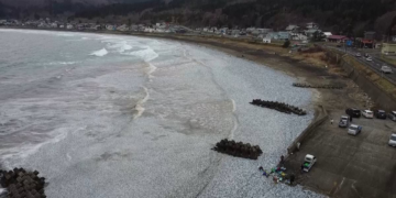 Japon : plusieurs tonnes de poissons s&rsquo;échouent mystérieusement sur une plage