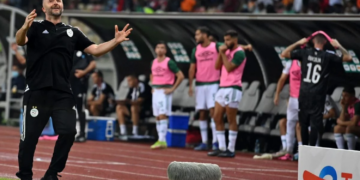 L&rsquo;Algérie éliminée de la CAN 2024: Djamel Belmadi aurait démissionné
