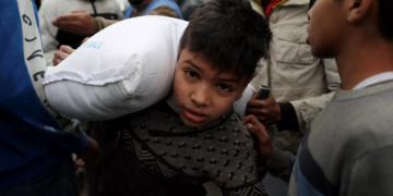 Vingt ONG publient une déclaration exhortant les pays à annuler la suspension de leurs financements à l&rsquo;Unrwa