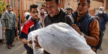 2023: Annus horribilis