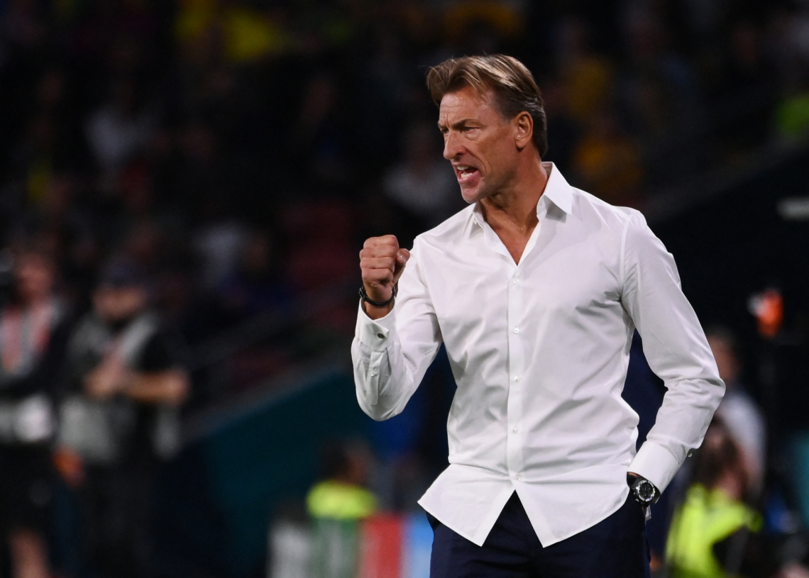 Algérie: Un Renard pour les Fennecs?